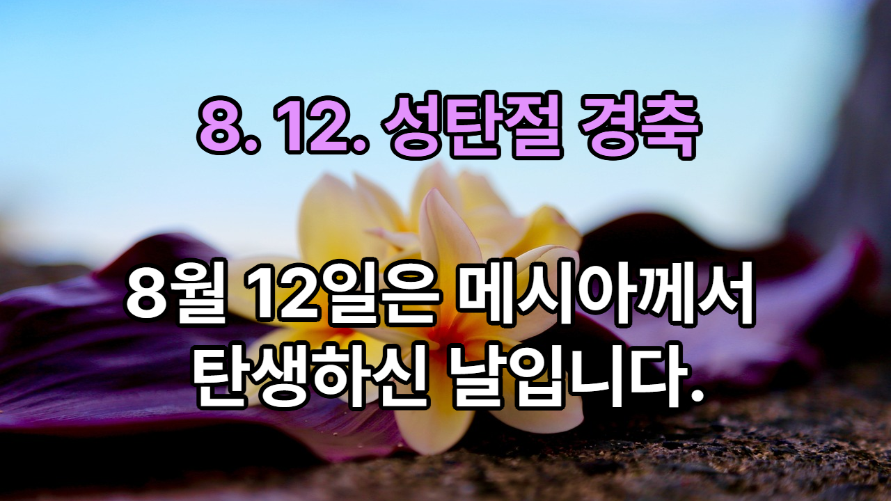 8월 12일은 인류 메시아께서 탄생하신 날입니다.
